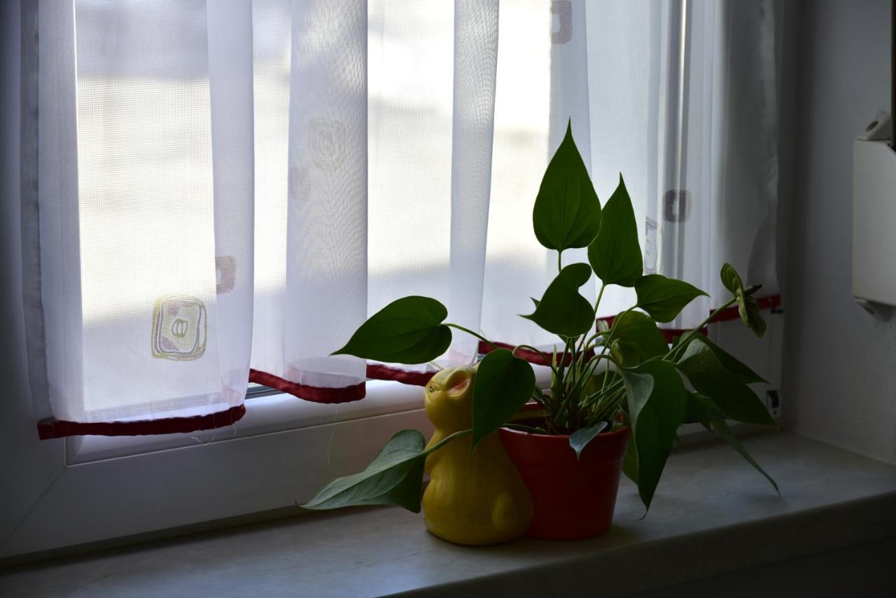 Primula Apartment Blejska Dobrava Zewnętrze zdjęcie